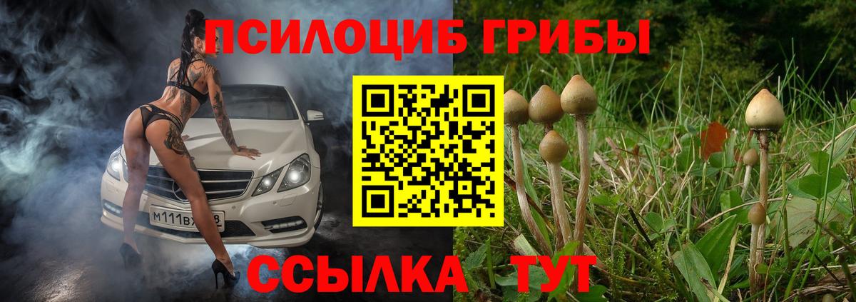 Галлюциногенные грибы Magic Shrooms Орехово-Зуево